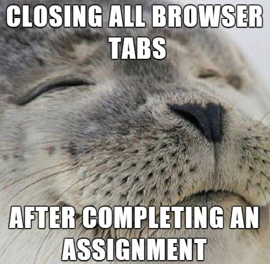 funny-browser-tab-close-seal-completing