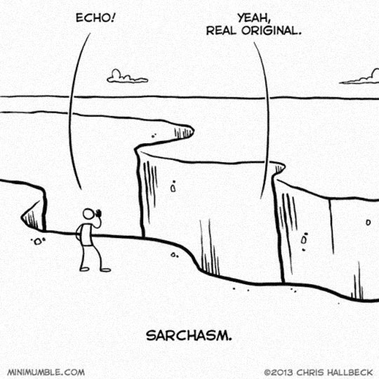 funny-cartoon-echo-sarcasm-cliff