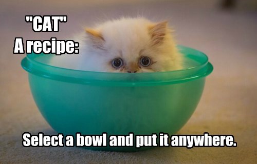 funny-cat-recipe-bowl