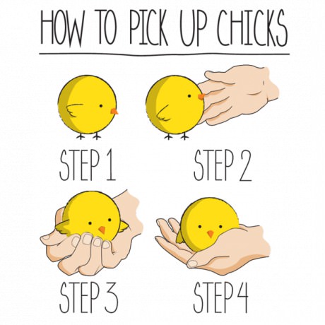 funny-chick-pick-up-comics