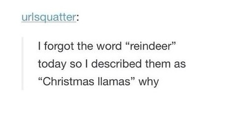 funny-christmas-deer-llama