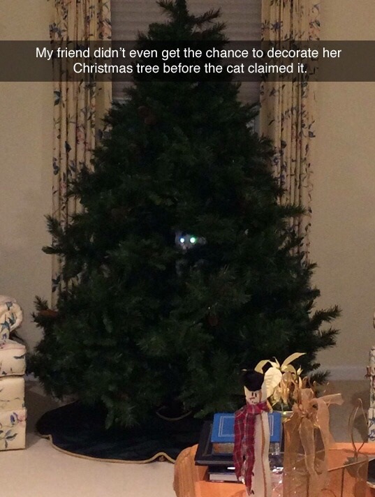 funny-christmas-treecat-decoration