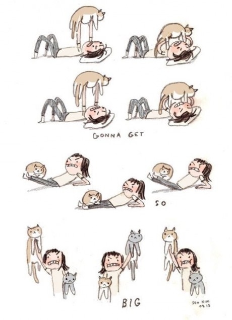 funny-comics-workout-cat
