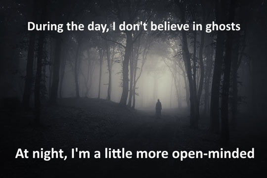funny-day-ghost-wood-fog-scary