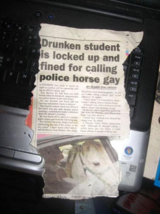 funny-drunk-student-horse