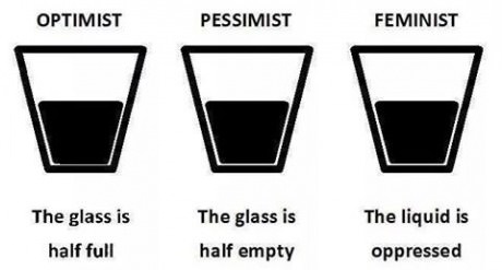 funny-fenist-optimist-pessimist