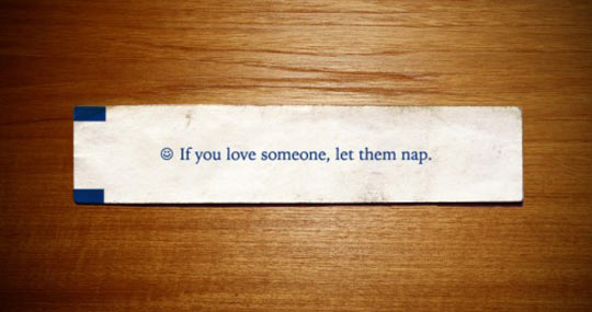 funny-fortune-cookie-love-nap