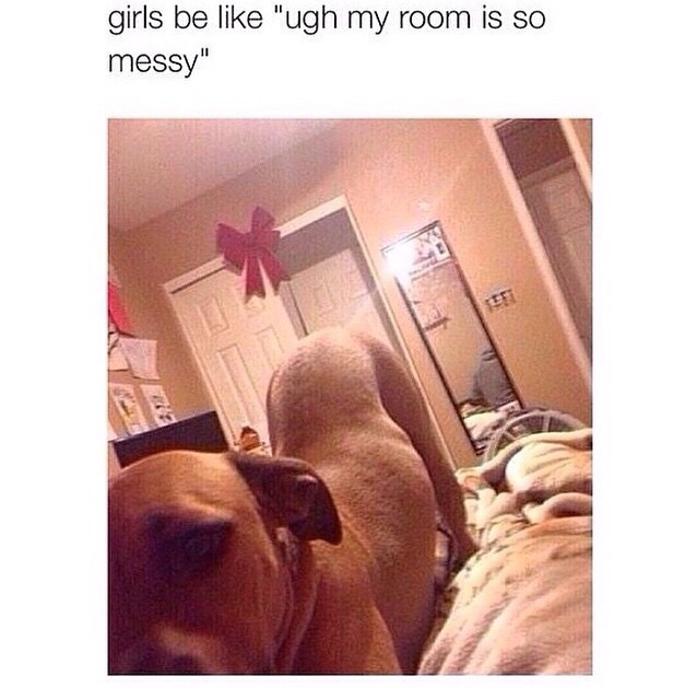 funny-girls-selfie-room-dog
