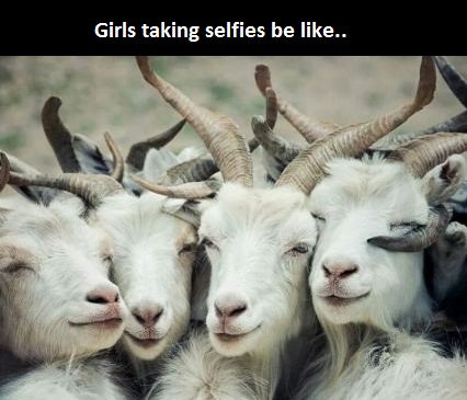 funny-goast-girls-selfies
