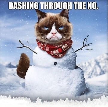 funny-grumpy-cat-snowman