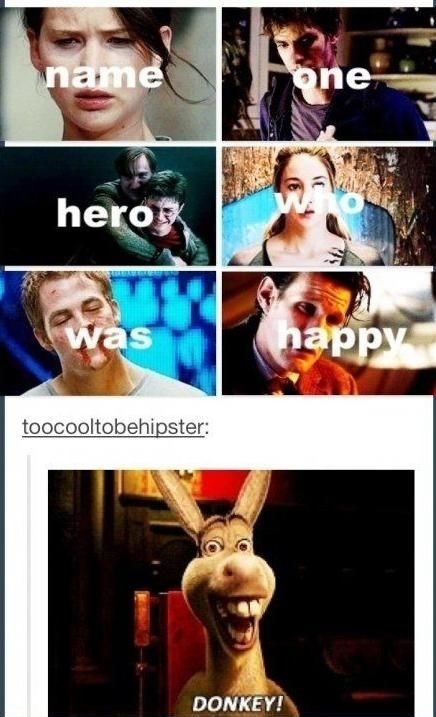 funny-happy-hero-donkey