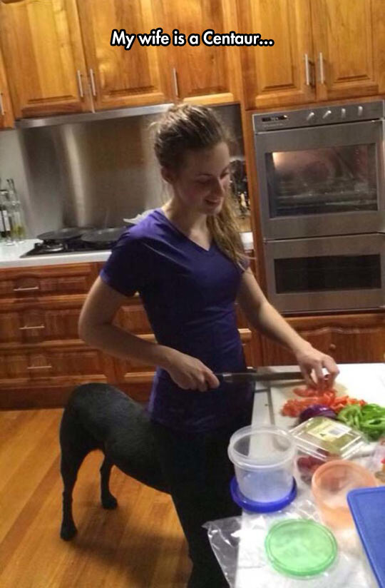 funny-kitchen-girl-dog-centaur