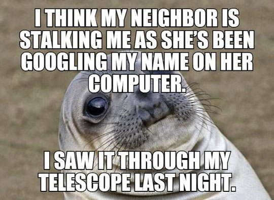 funny-seal-neighbor-stalking-googling-computer