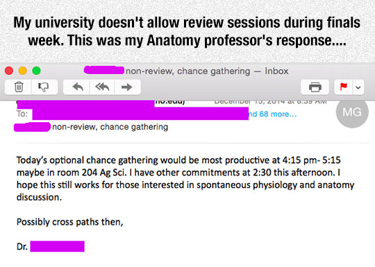 funny-teacher-response-review-session