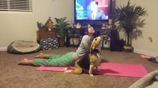 funny-yoga-girls-dog