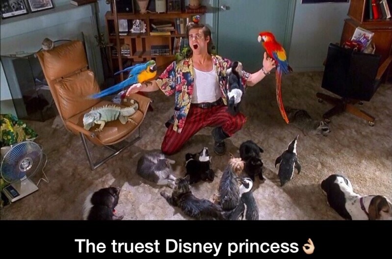 Ace Ventura: Original Disney Princess