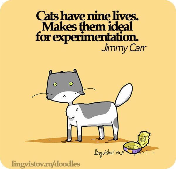 cats-lives-experiments