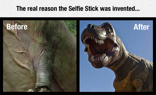 funny-TRex-selfie-camera-stick