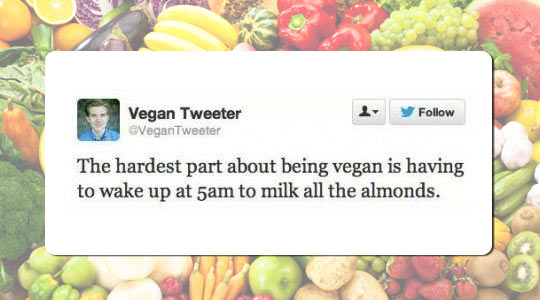 funny-Twitter-vegan-milk-almonds