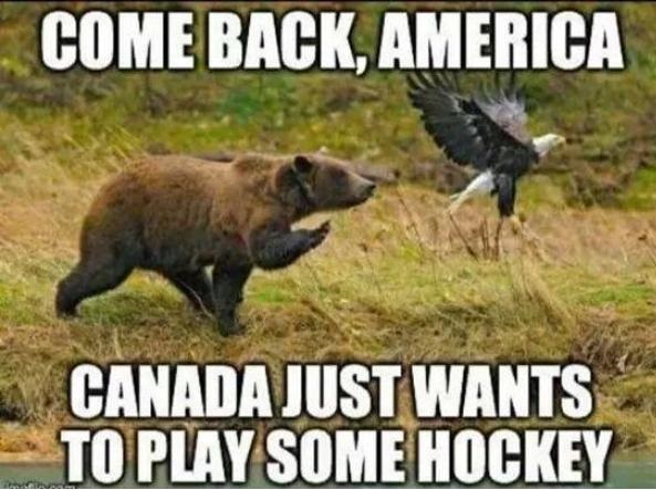 funny-america-canada-bear-eagle