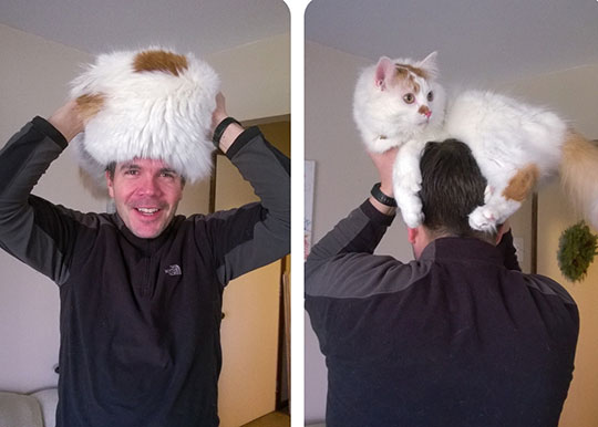 funny-cat-hat-head-man