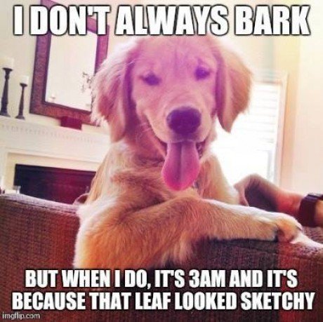 funny-dog-bark-meme