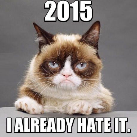 funny-grumpy-cat-new-year
