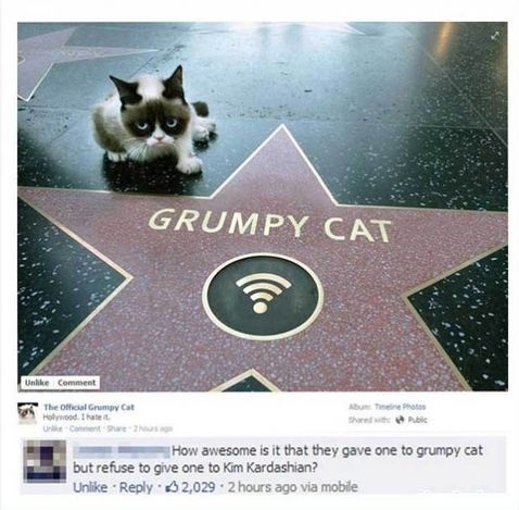 grumpy-cat-kim-kardashian-hollywood