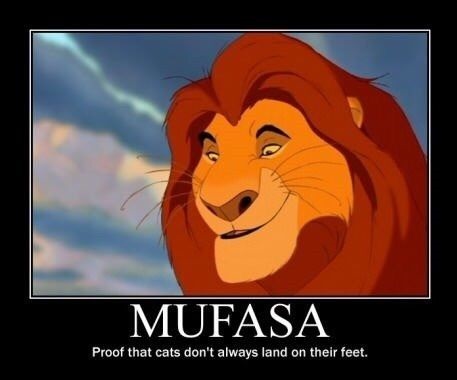 mufasa-lion-king-cats