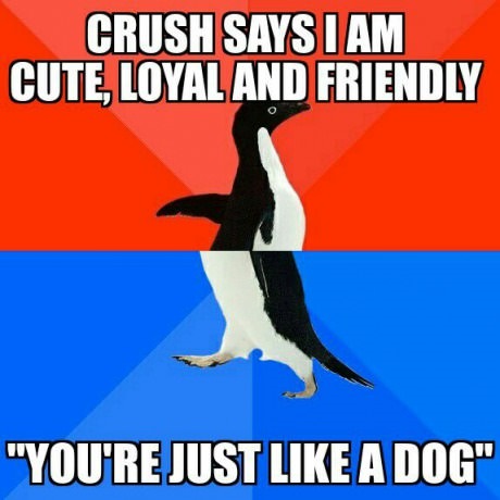 awkward-penguin-meme-dogzone