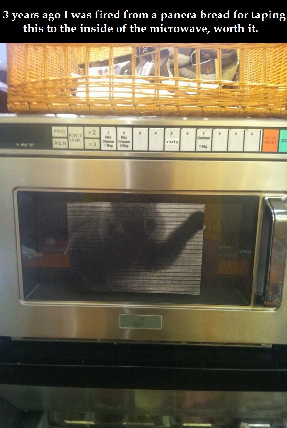 cat-sticker-microwave-prank