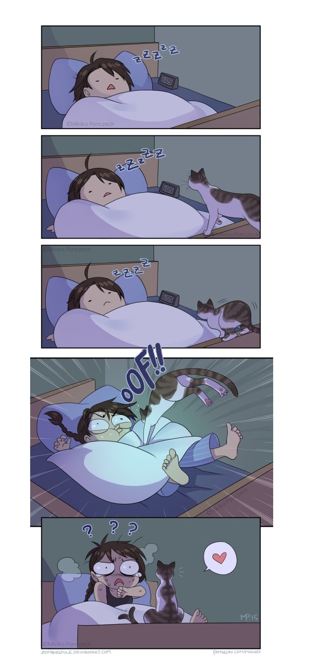comics-cat-night-sleep