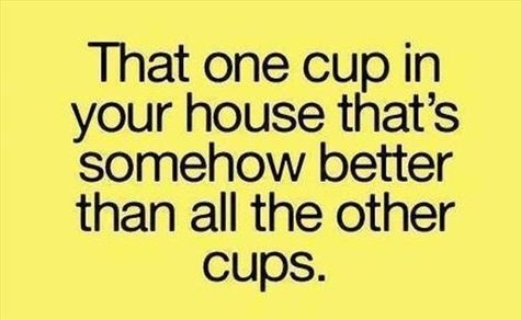 That One Cup