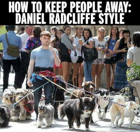 daniel-radcliffe-dog-people