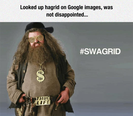 funny-Hagrid-thug-life-Swag