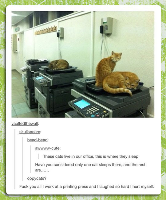 funny-copy-machine-cat-joke