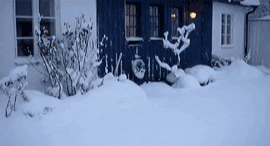 funny-gif-cat-outside-jumping-snow