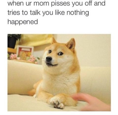 mom-doge-angry-comfused