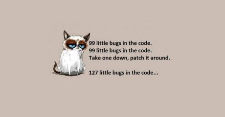 programming-poem-bugs-grumpy-cat