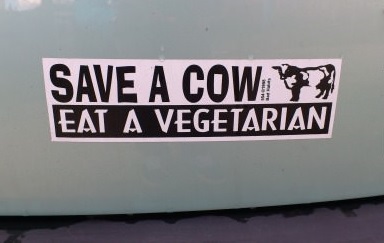 save-cow-vegetarian-sign-car
