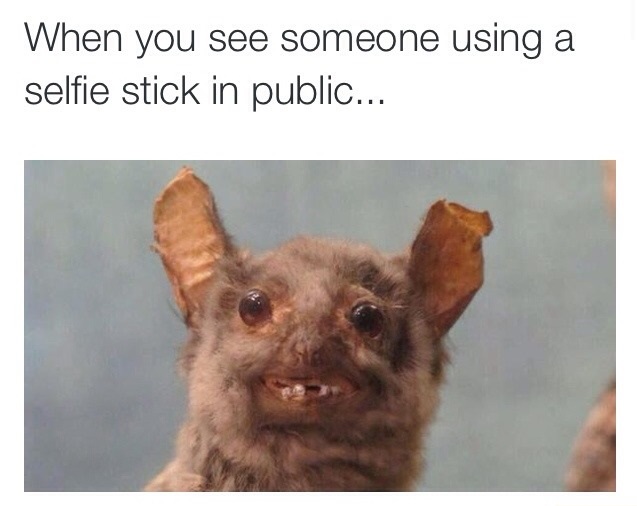 selfie-stick-public-reaction