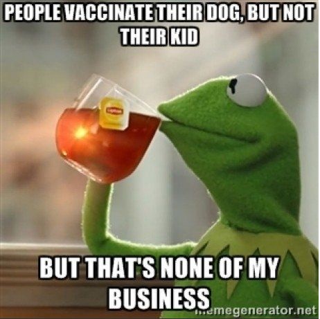 vaccine-dog-people-kermit