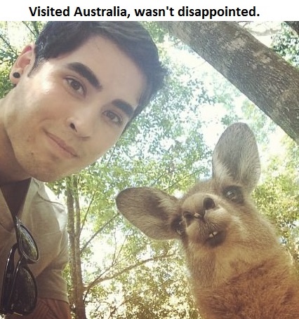 australia-animals-cute