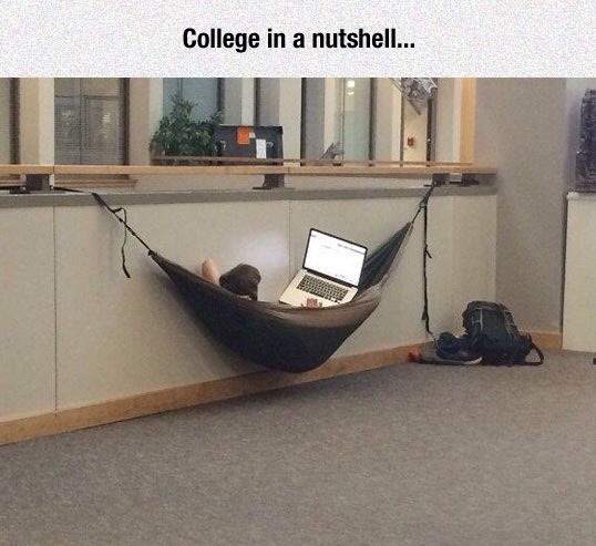 college-in-anutshell