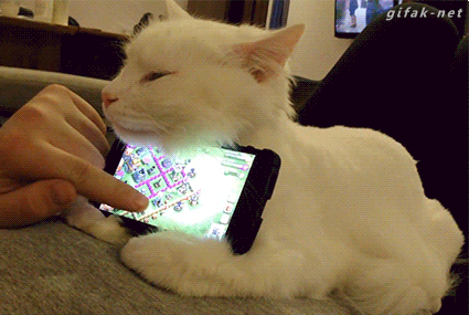 cute-gif-cat-iPhone-stand