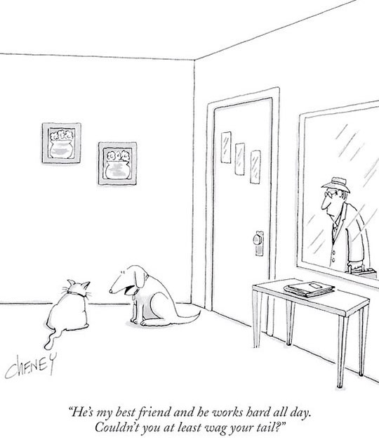 funny-cartoon-dog-talking-cat-owner