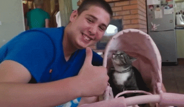 funny-gif-cat-hits-guy-face
