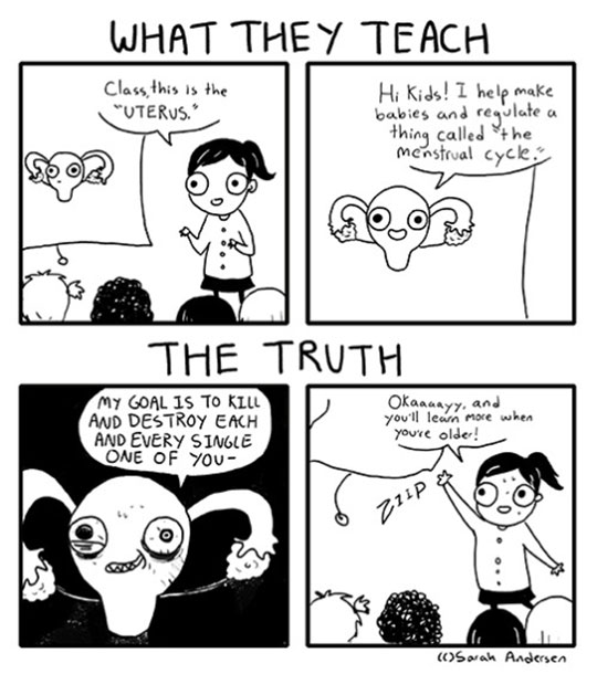 funny-webcomic-ovaries-lesson-class