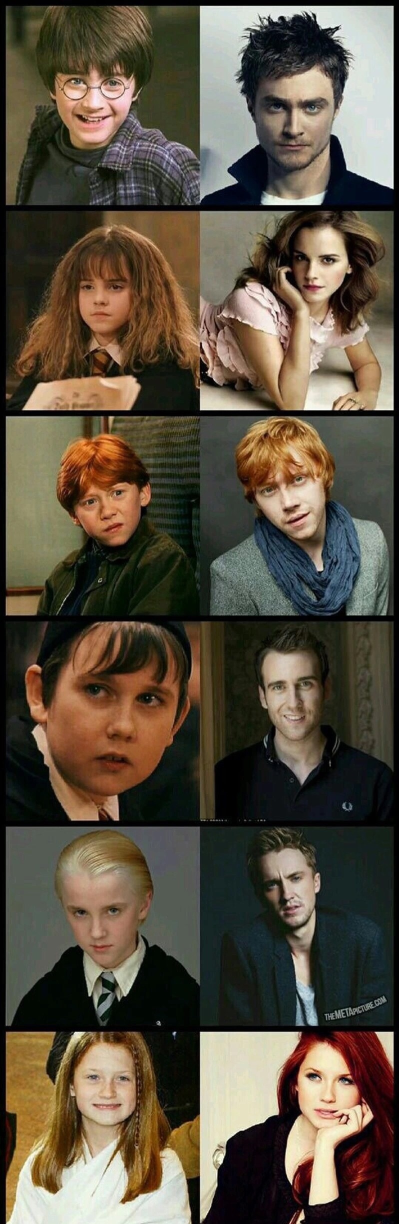 harry-potter-actors-puberty