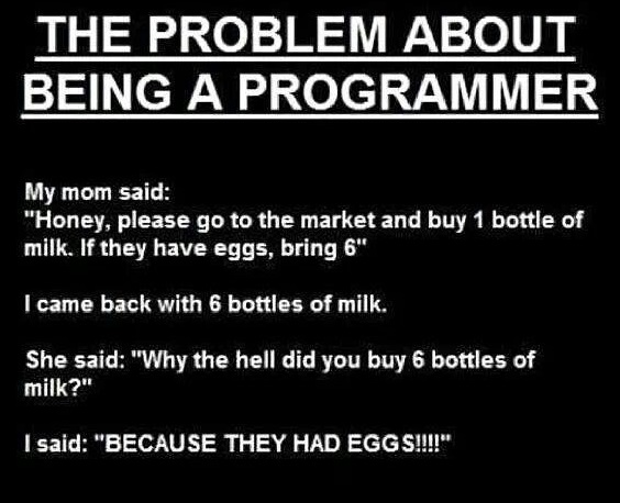programmers-eggs-milk-wife